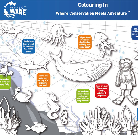 Padi Aware Kids Conservation