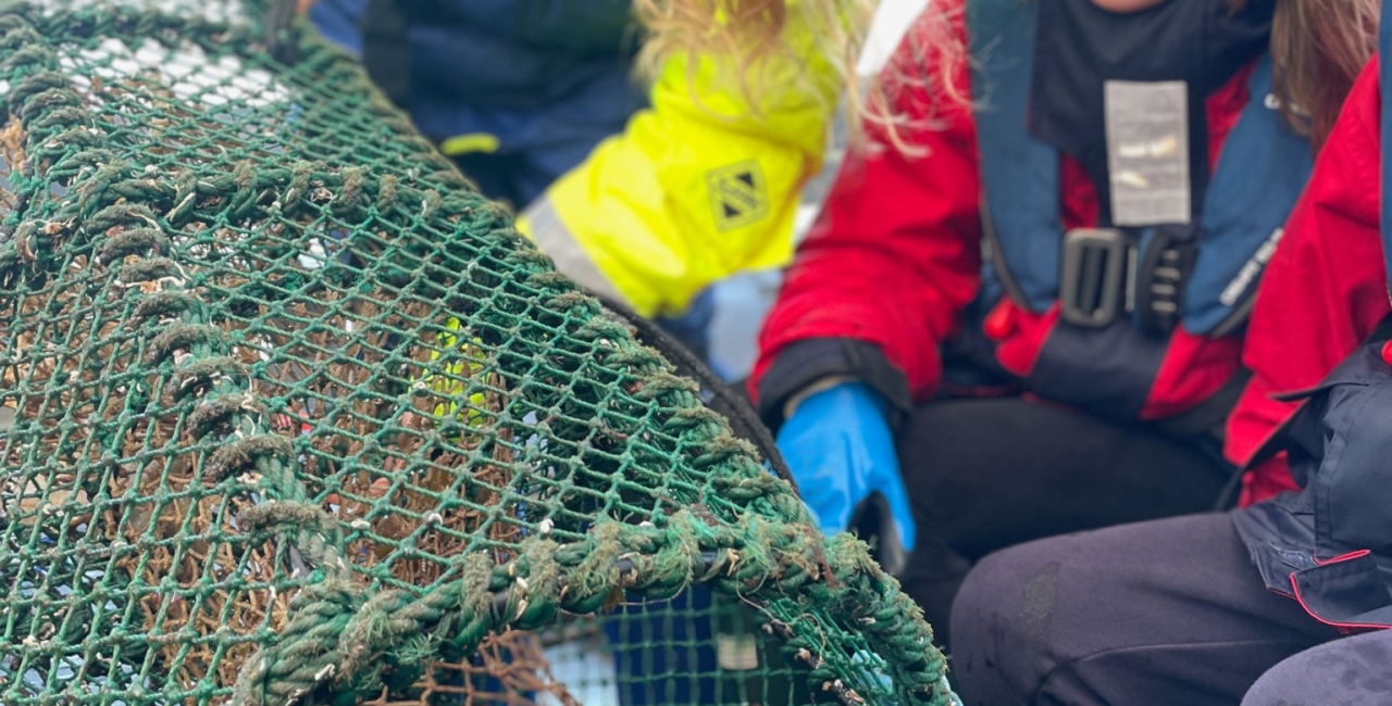 Happy #WorldOctopusDay !!