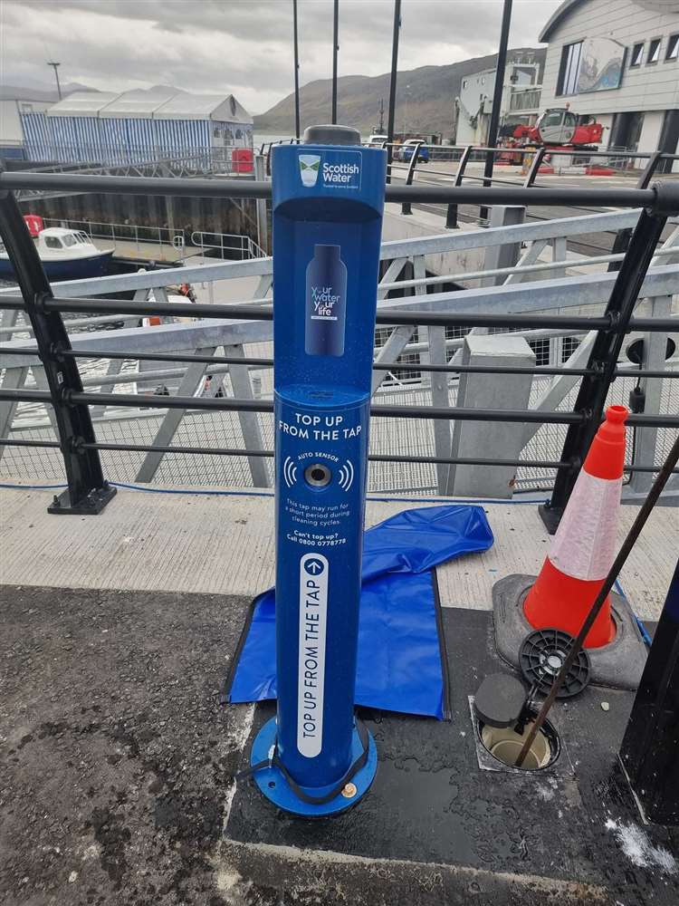 Rescued hedgehogs given new start in Wester Ross 'hedgehog haven'