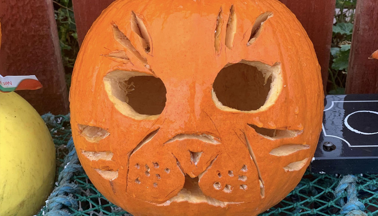 Happy Halloween from the sea savers!
