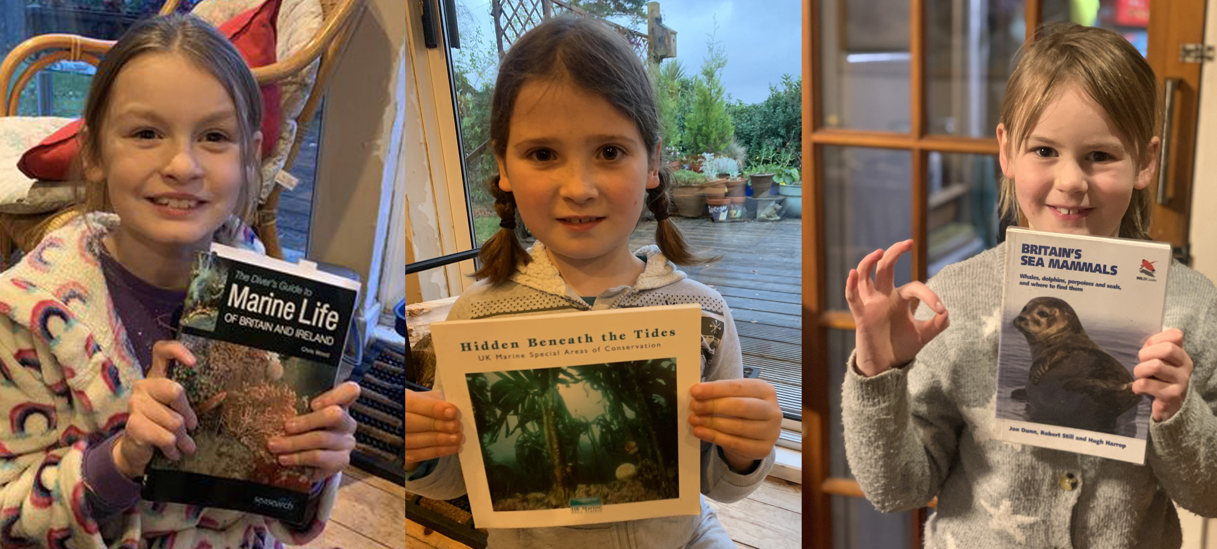 Blue Starfish have been doing research for their species factfiles 