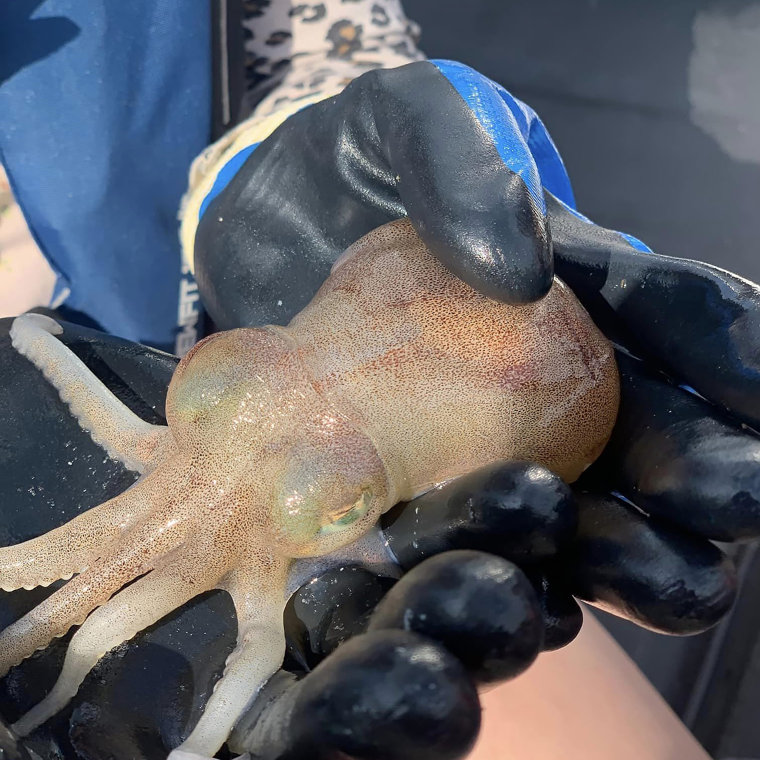 Away from the glitz and glamour of the award ceremony, daily life for the sea savers continues…